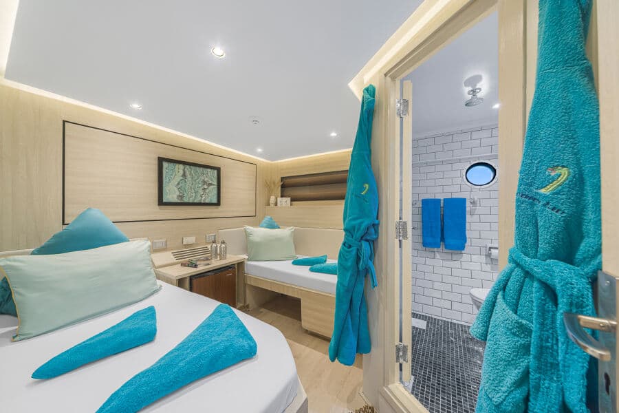 Standard Twin Lower Deck - image Standard Twin Lower Deck - image