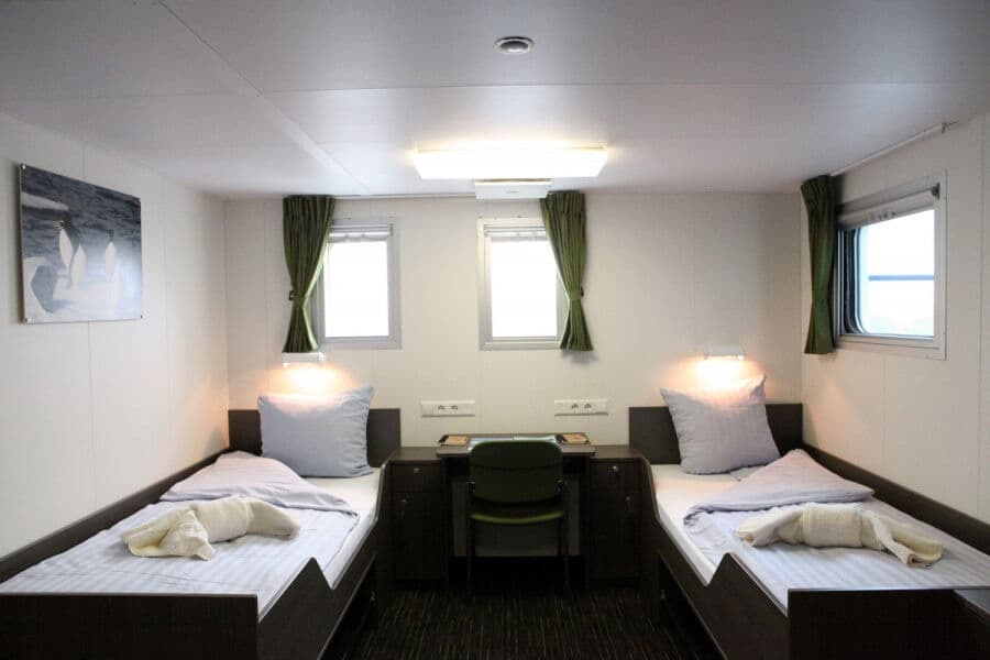 Twin Deluxe - image Twin Deluxe - image