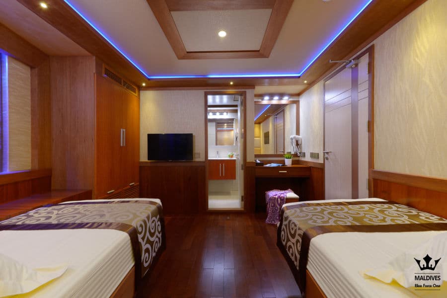 Deluxe Twin Upper Deck - image Deluxe Twin Upper Deck - image