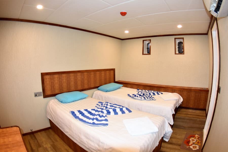 Twin Upper Deck - image Twin Upper Deck - image