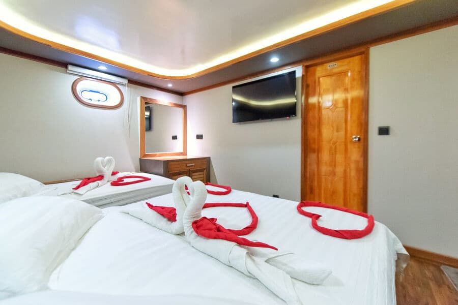 Standard room Lower Deck - image Standard room Lower Deck - image