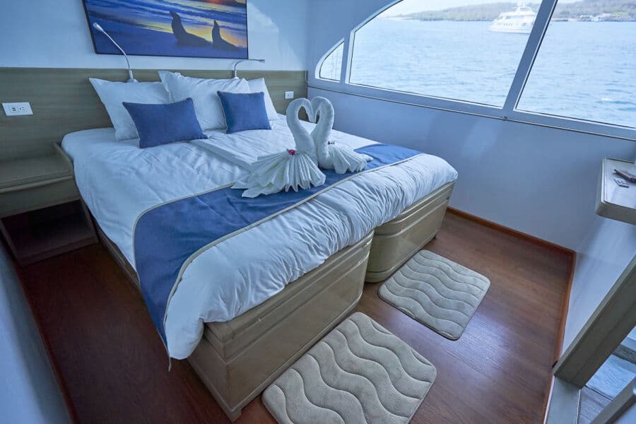 Double Upper Deck - image Double Upper Deck - image