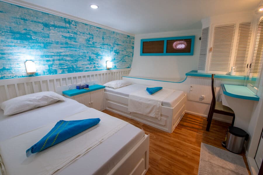 Standard Twin Lower Deck - image Standard Twin Lower Deck - image