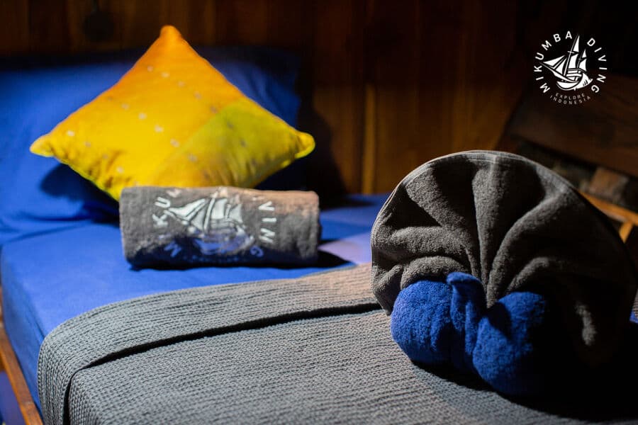 Standard Twin Lower Deck - image Standard Twin Lower Deck - image