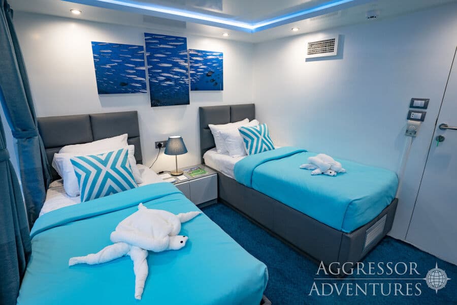 Deluxe Main Deck - image Deluxe Main Deck - image