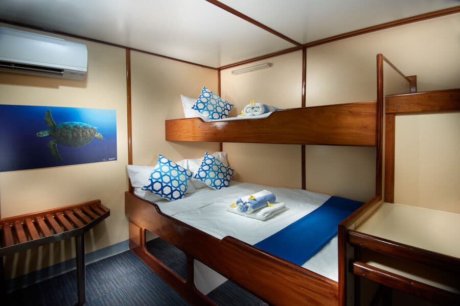 Classic Twin/Double Upper Deck - image Classic Twin/Double Upper Deck - image