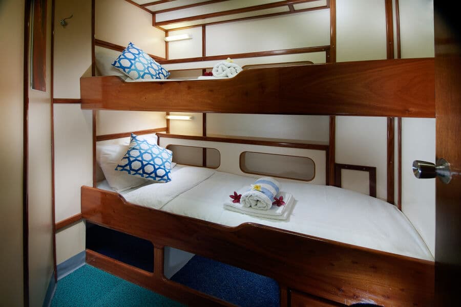 Standard Single Lower Deck - image Standard Single Lower Deck - image