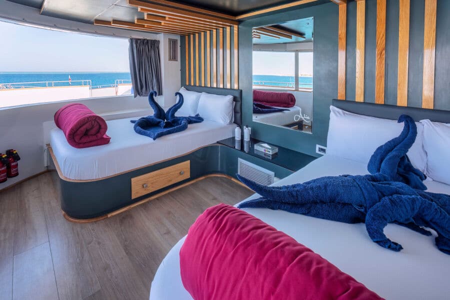 Superior Upper Deck - image Superior Upper Deck - image