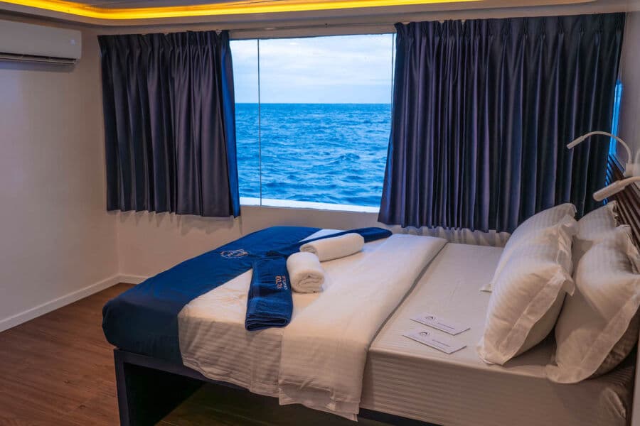 Premium Main Deck - image Premium Main Deck - image