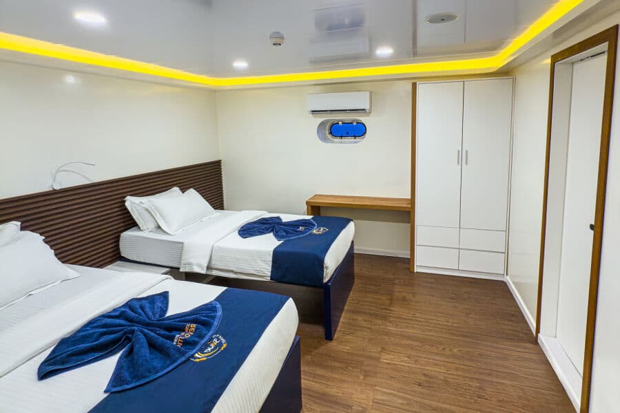 Standard Lower Deck - image Standard Lower Deck - image