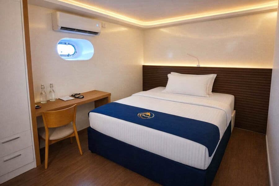 Standard Single Lower Deck - image Standard Single Lower Deck - image