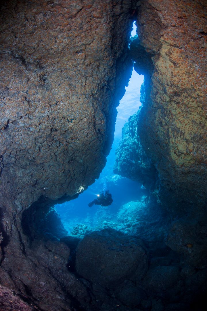 Diving Malta