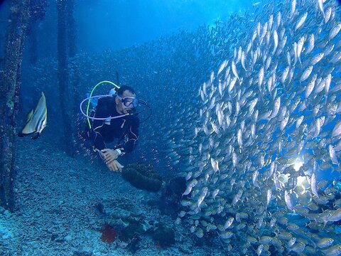Underwater scuba diving photo