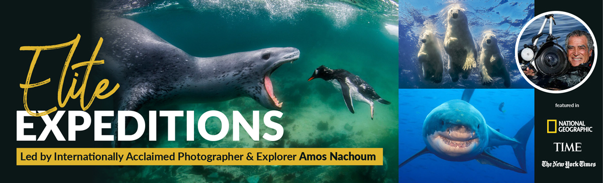 elite expeditions by Amos Nachoum