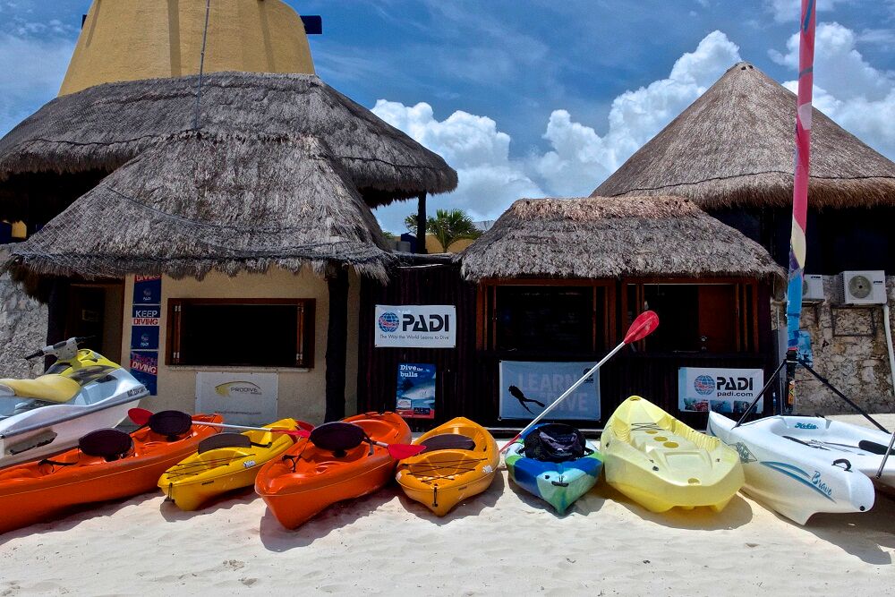 Pro Dive Mexico Bluewater Dive Travel