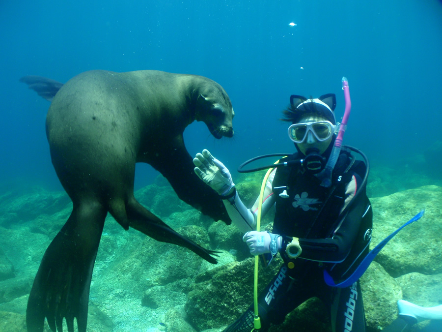 Fun Baja La Paz Mexico Bluewater Dive Travel