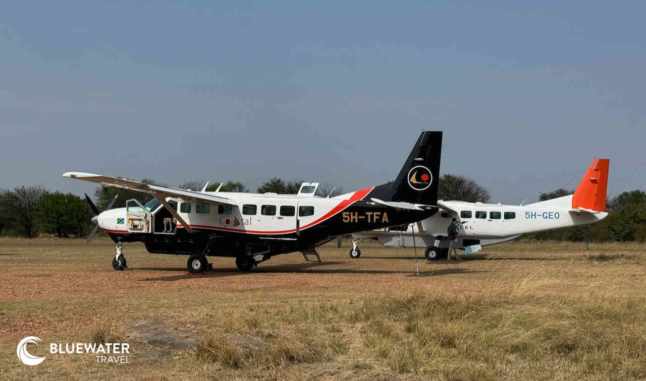 Planes on the landing strip