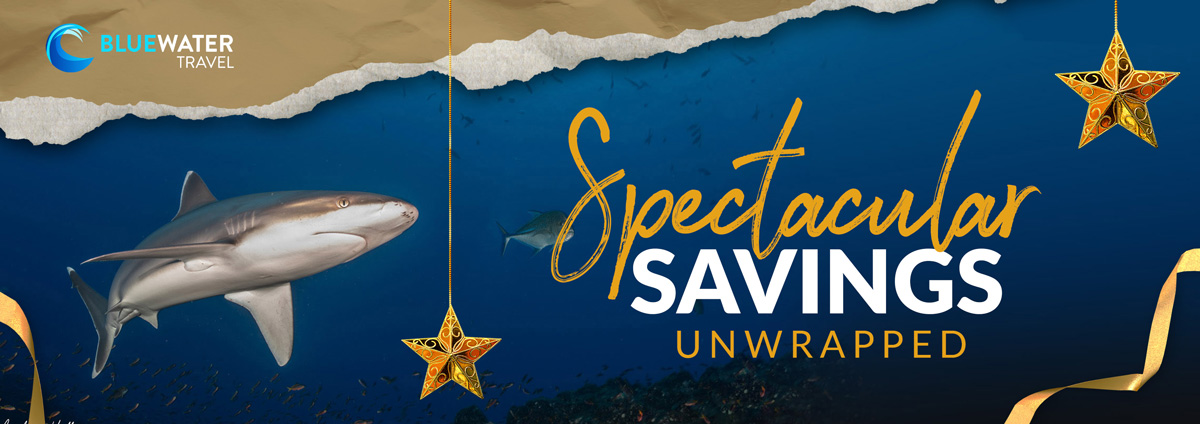 Unwrap Spectacular Savings Sale Header