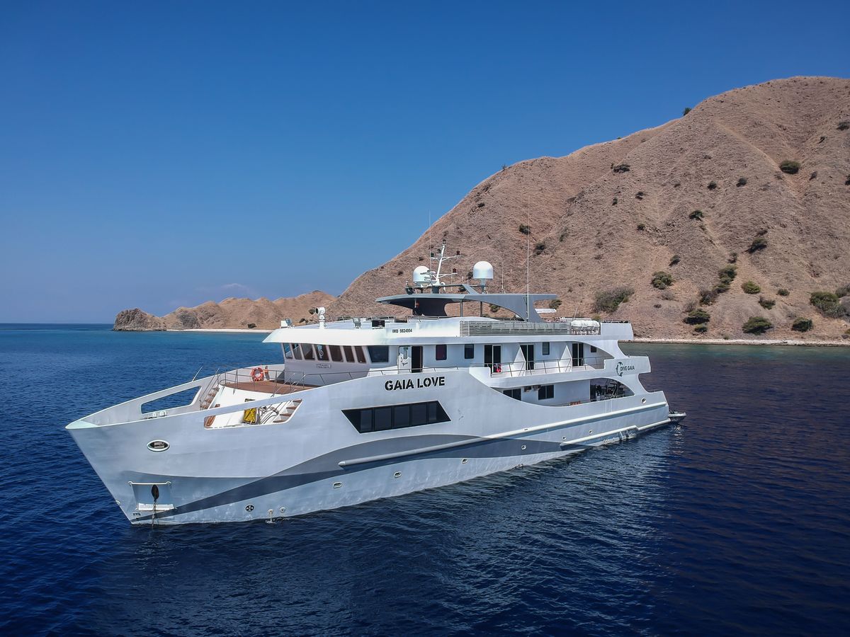 Gaia Love Liveaboard Reviews And Specials Bluewater Dive Travel