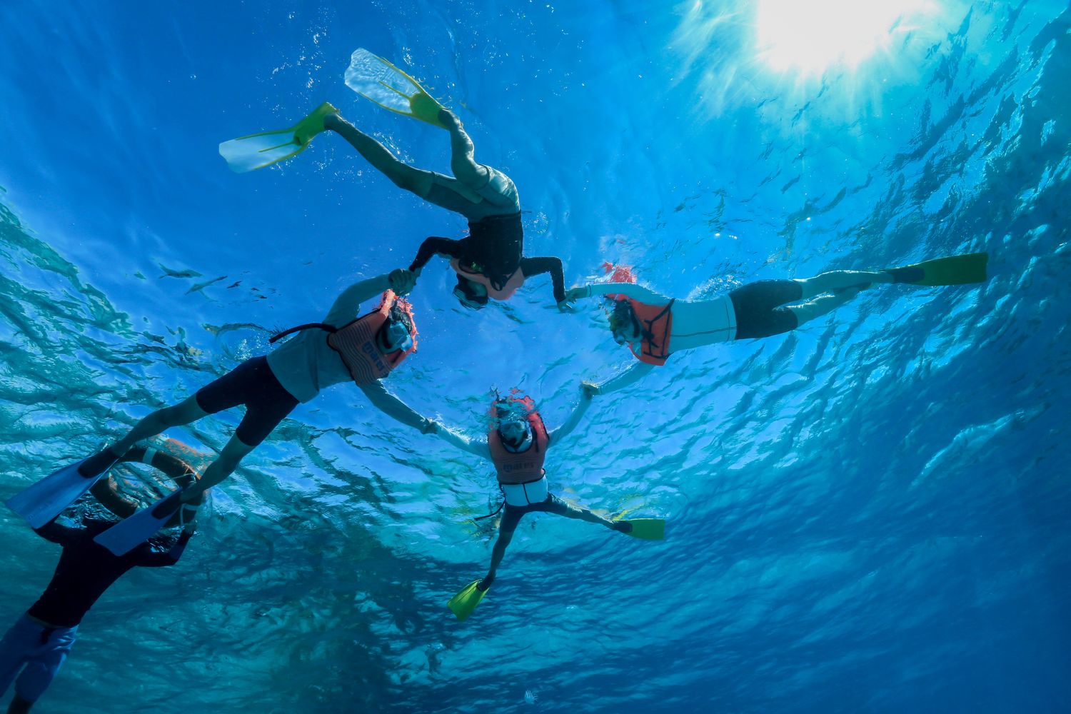 Eleuthera Dive Tahiti Reviews, Photos & Special Rates - Bluewater Dive ...