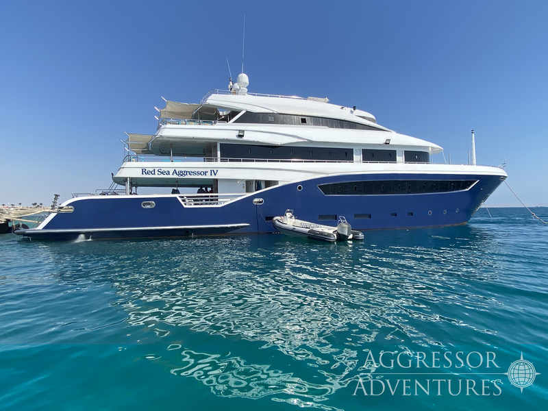 Red Sea Aggressor IV Liveaboard Reviews & Specials - Bluewater Dive Travel