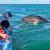 People watch a Pacific gray whale from a boat in San Ignacio Lagoon, Mexico.