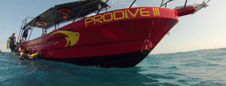 Pro Dive International dive boat