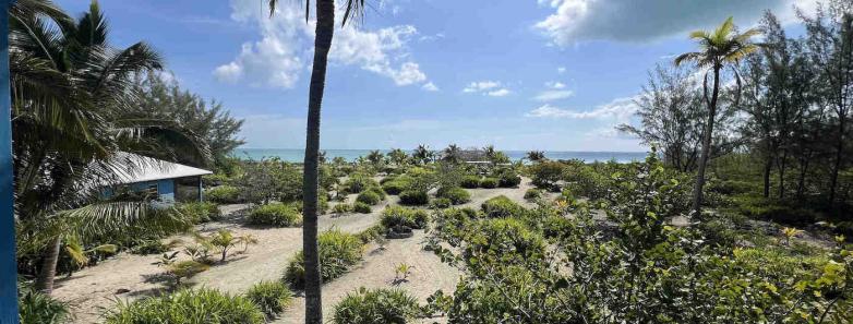 View from the 3-Bedroom Villa