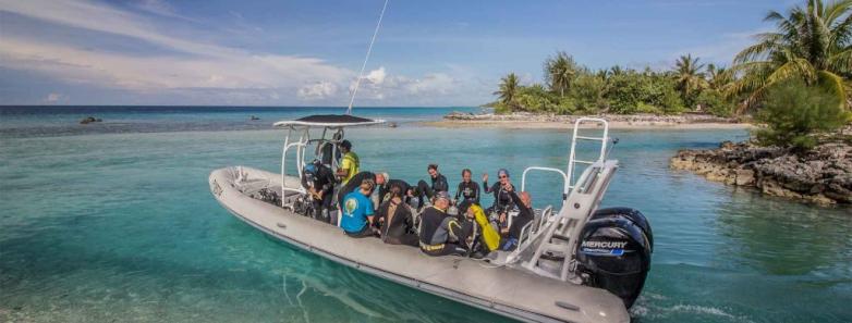 Blue Velvet diving boat