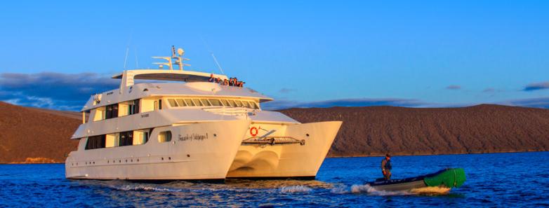 The Catamaran Treasure bathed in the setting sun's light