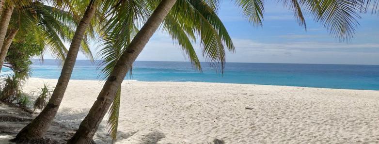 The Fuvahmulah beachfront with white sands and palm trees