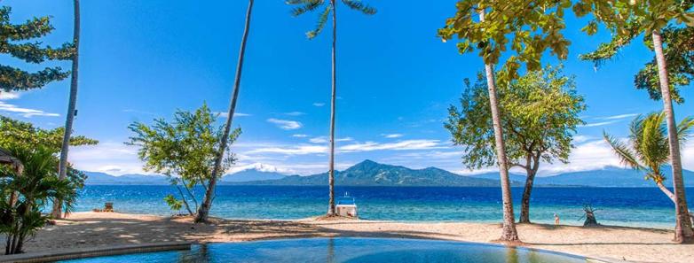 Swimming pool surrounded by palm trees