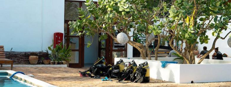 Dive gear set up by the pool