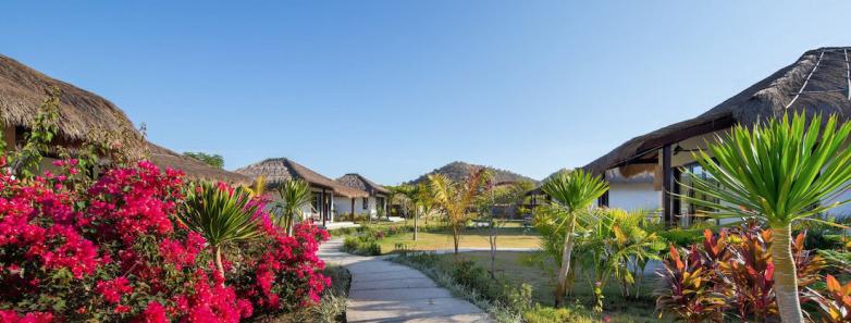 Gardens along the pathway to the rooms at Mocean Dive Resort