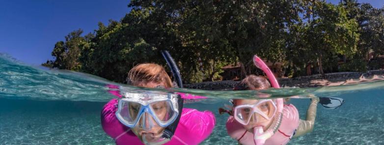 Guests snorkeling