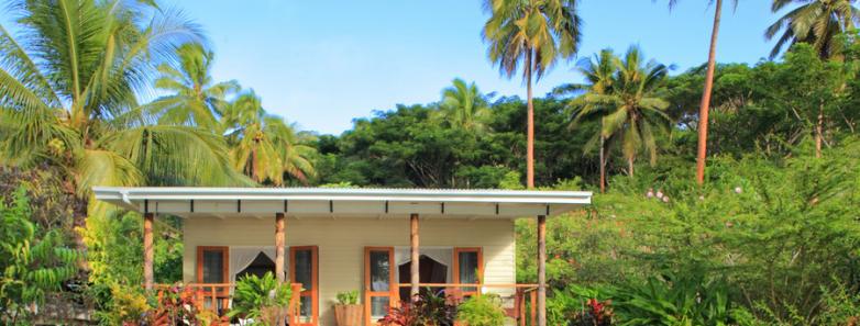 Sau Bay Resort gardens with palm trees