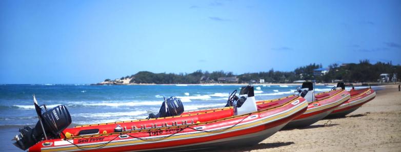 The Tofo Scuba RIBs parked on the sand