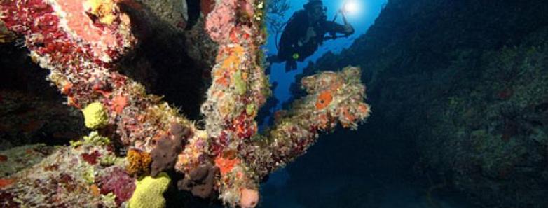 North Caicos and Middle Caicos Scuba Diving