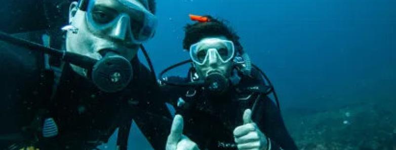 Divers give a thumbs up underwater