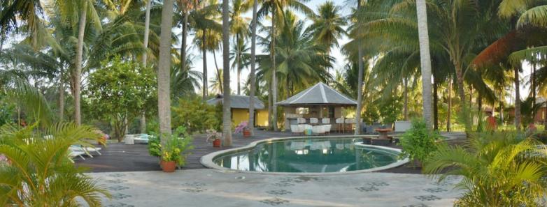 A pool surrounded by a lot of greenery